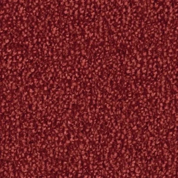 Vorwerk Safira Teppichboden Farbcode 1N27 – Draufsicht ohne Etikett